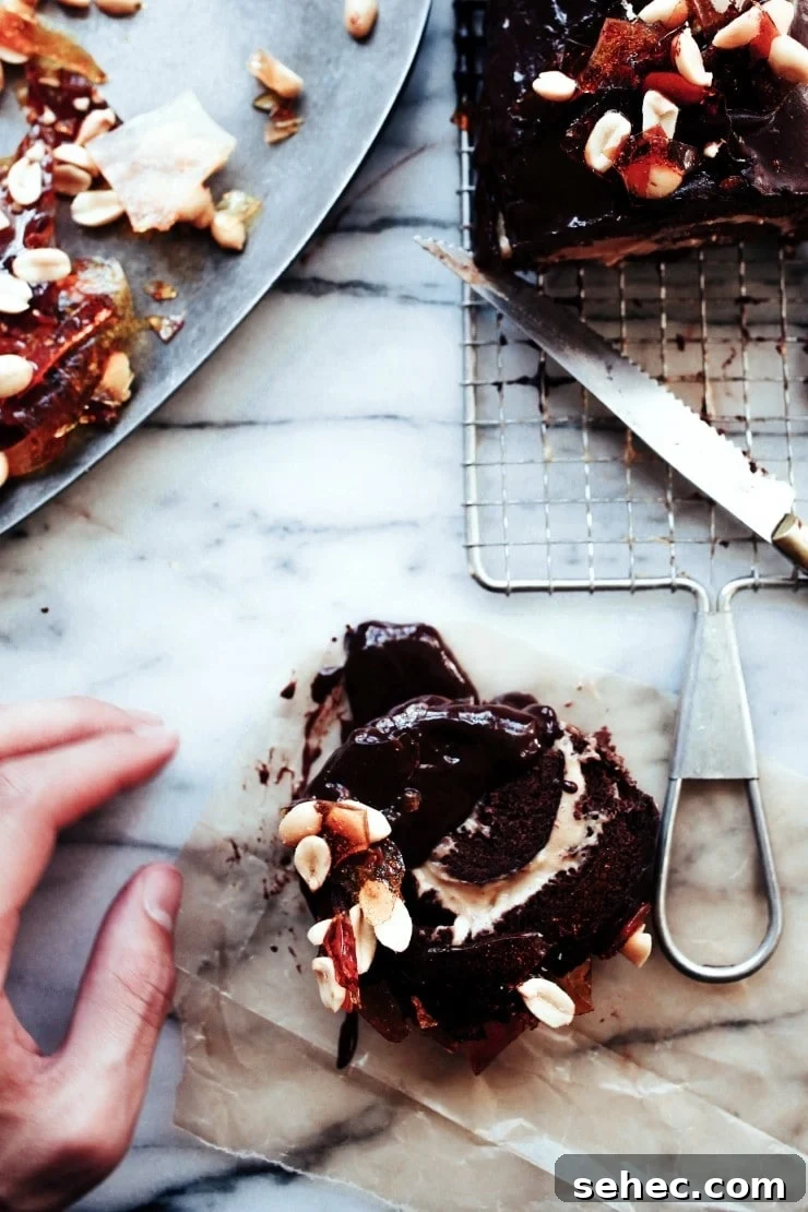 Chocolate Peanut Butter Swiss Roll Cake Recipe 16 Slice of Chocolate Peanut Butter Swiss Roll Cake