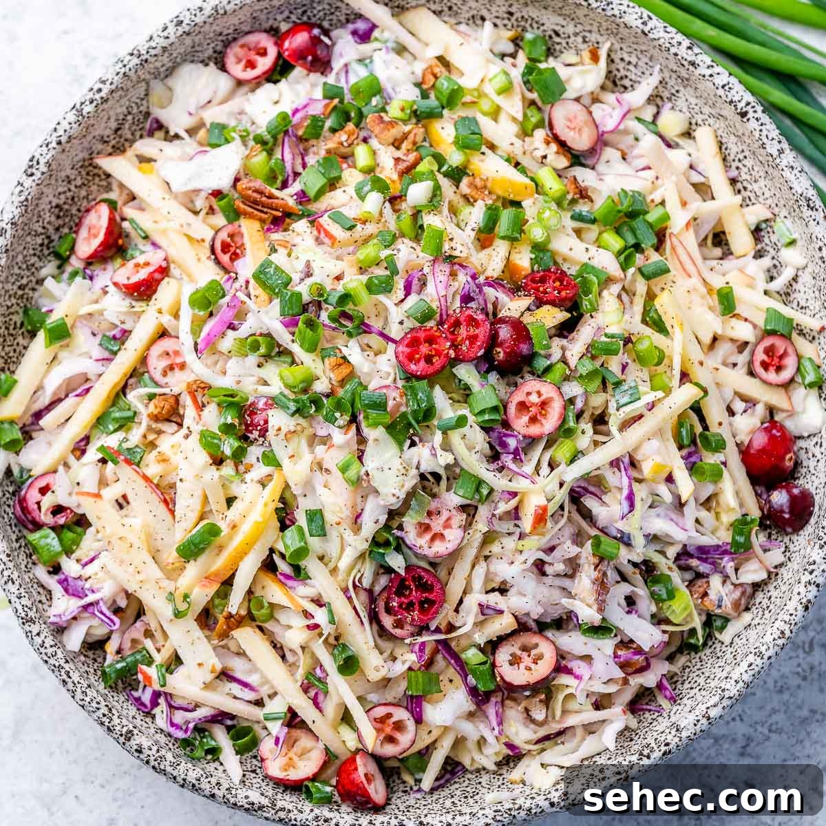 Cranberry Apple Coleslaw Recipe 2 Cranberry Apple Coleslaw