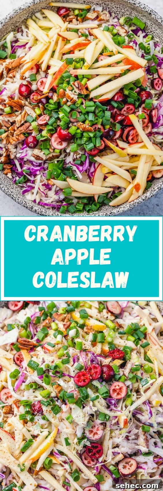 Cranberry Apple Coleslaw Recipe 10 Cranberry Apple Coleslaw finished recipe