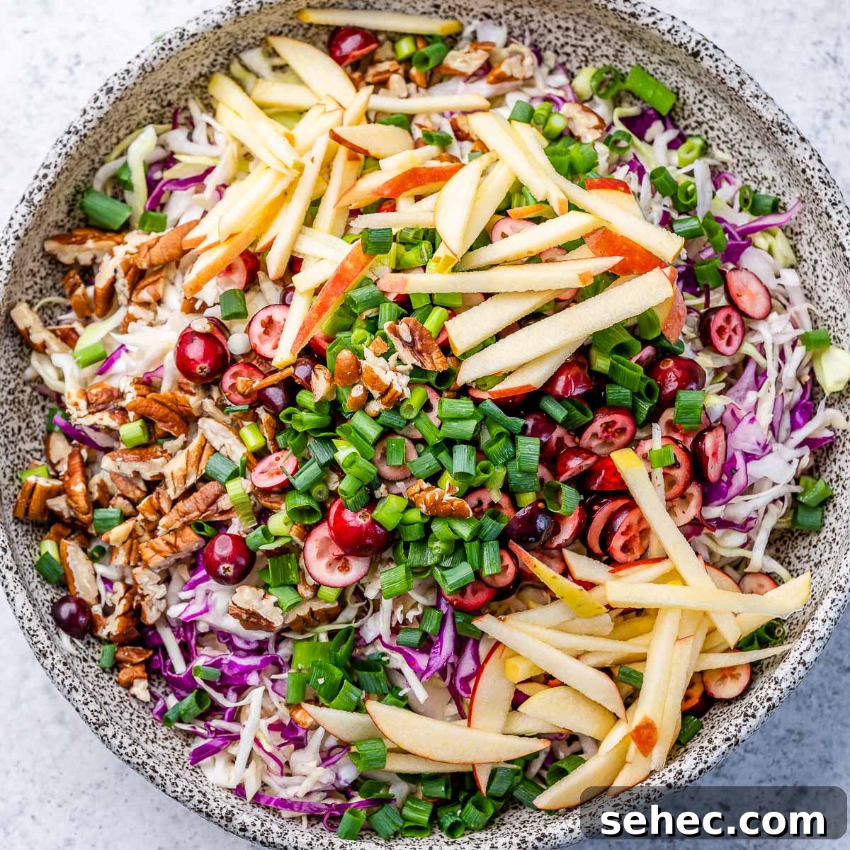 Cranberry Apple Coleslaw Recipe 6 Creamy dressing for cranberry apple coleslaw