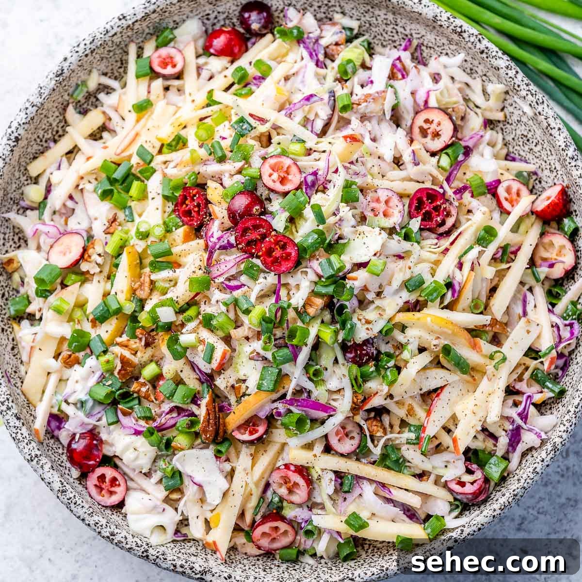 Finished cranberry apple coleslaw