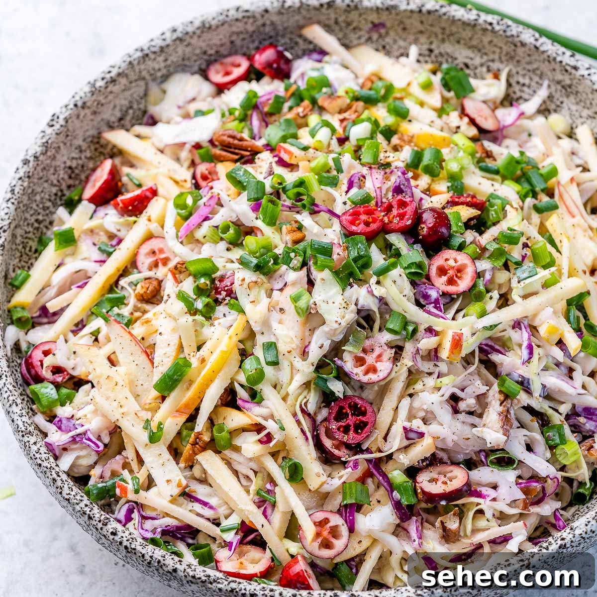 Cranberry Apple Coleslaw Recipe 8 Cranberry apple coleslaw serving bowl