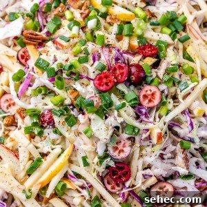 Cranberry Apple Coleslaw recipe
