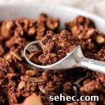 A bowl of chocolate granola with chocolate chips and a spoon.