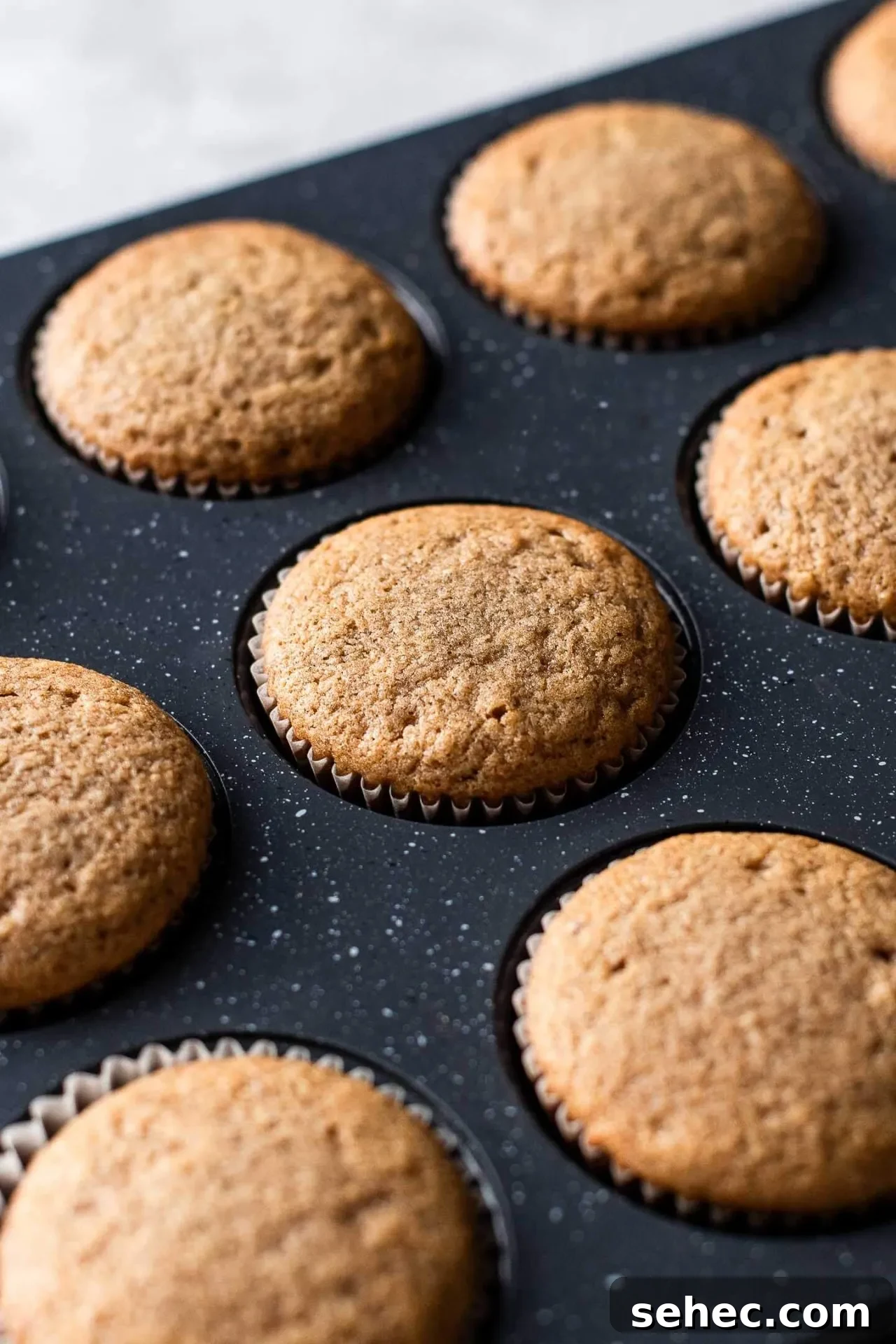 Maple Chai Spice Cupcakes 5 baked maple cupcakes in cupcake tin