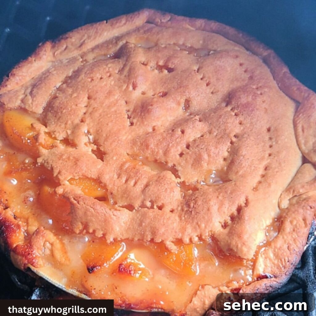 How to Smoke a Pie on a Pellet Smoker 3 Smoking Fruit Pie On A Pellet Grill