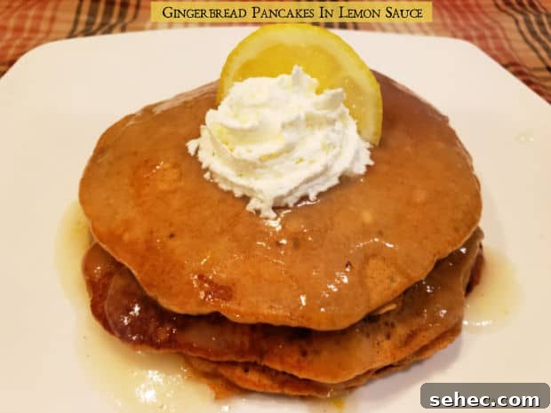Gingerbread Pancakes In Lemon Sauce Make the holidays or any time more fun with Gingerbread Pancakes In Lemon Sauce. This scrumptious recipe makes 4 servings.