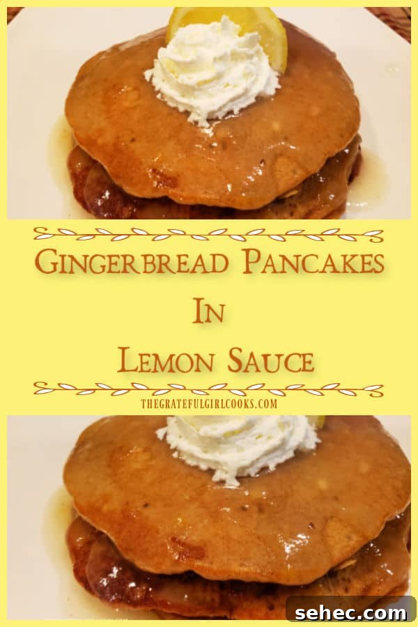 Gingerbread Pancakes In Lemon Sauce Make the holidays or any time more fun with Gingerbread Pancakes In Lemon Sauce. This scrumptious recipe makes 4 servings.