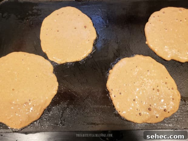 Gingerbread Pancakes In Lemon Sauce Gingerbread pancakes are cooked until bubbles form on the surface, then flipped.