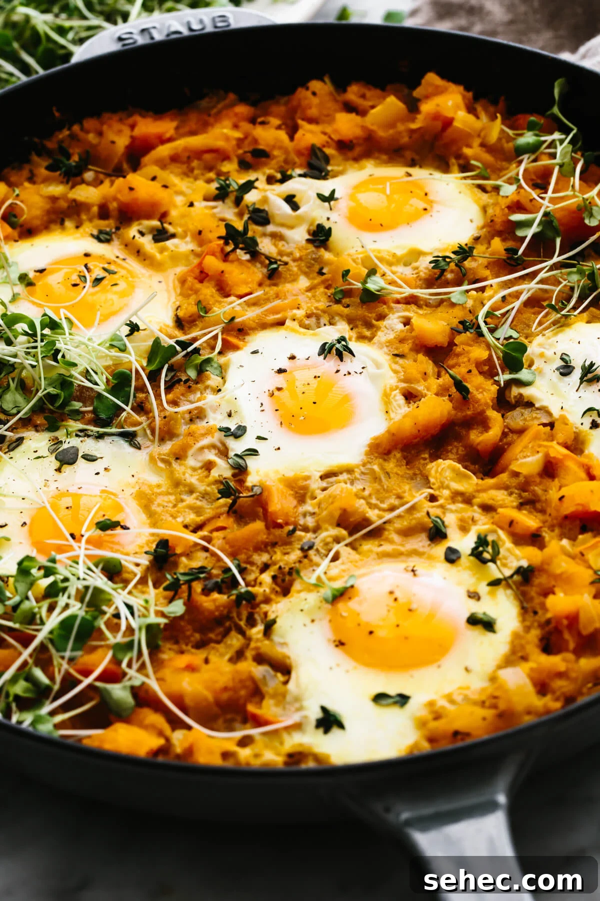 Butternut Squash Recipes for Soups, Sides, and Mains 8 A skillet with orange shakshuka.