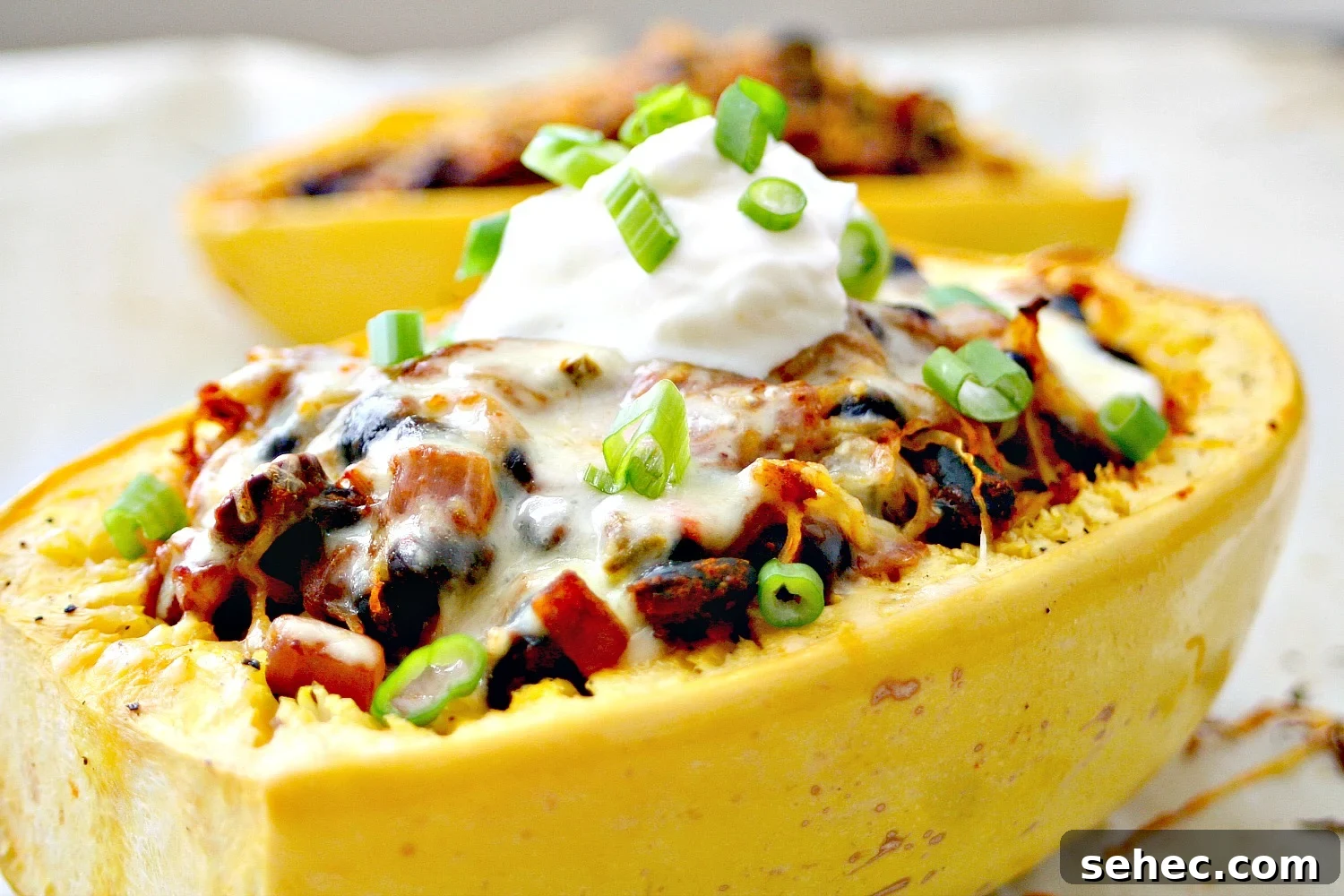 Tex Mex Spaghetti Squash Recipe 3 Tex Mex Spaghetti Squash