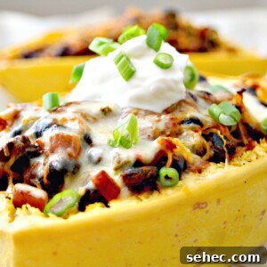 Tex Mex Spaghetti Squash