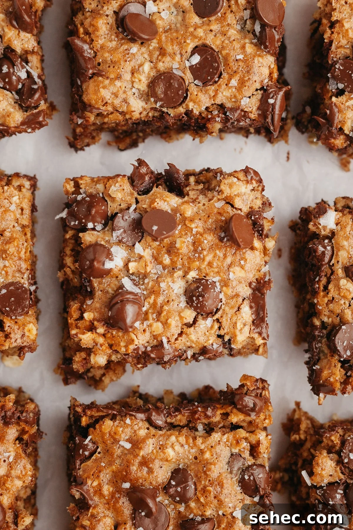 Chewy Chocolate Chip Oatmeal Bars Recipe 2 img 4845 1