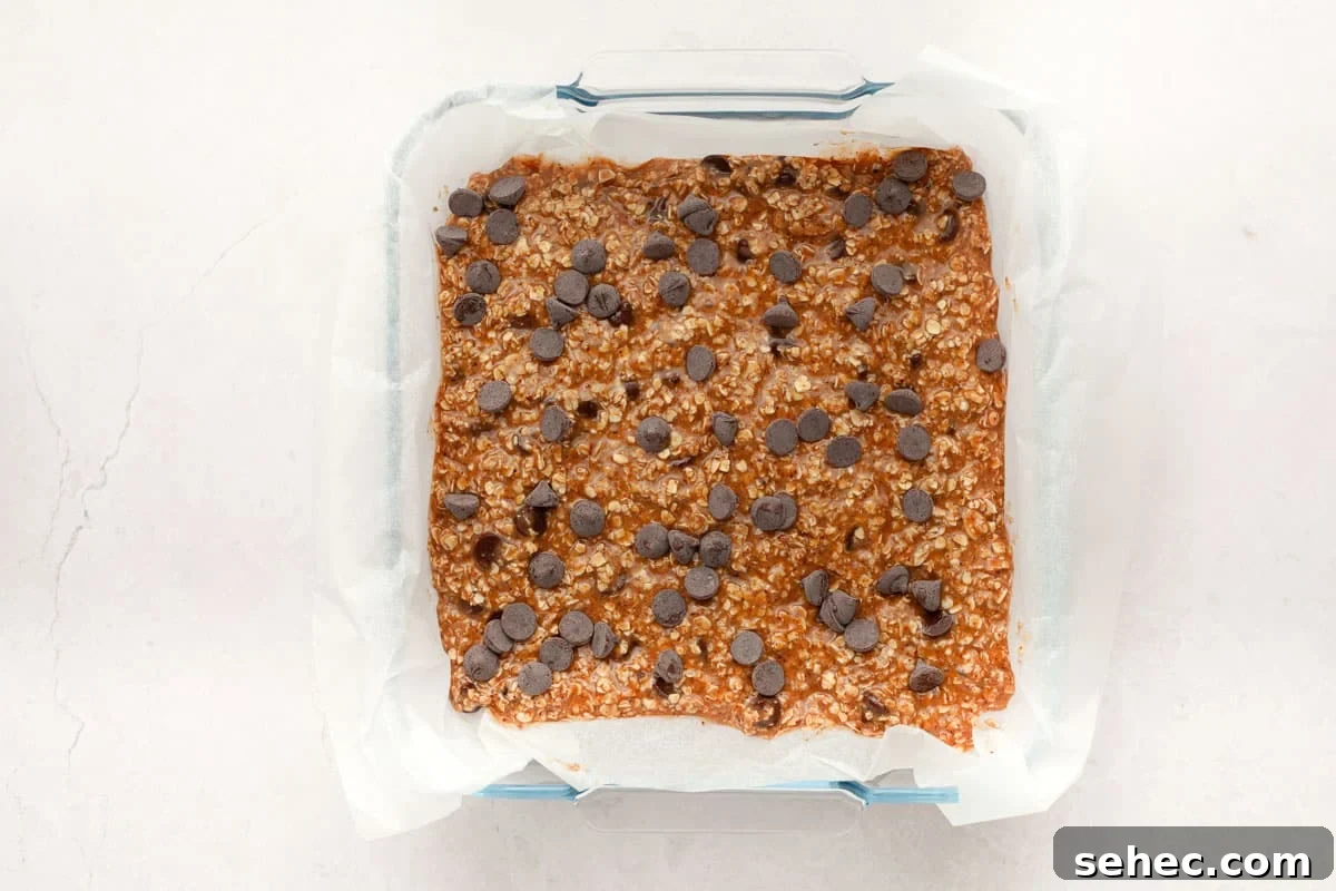 Chewy Chocolate Chip Oatmeal Bars Recipe 4 img 4845 3