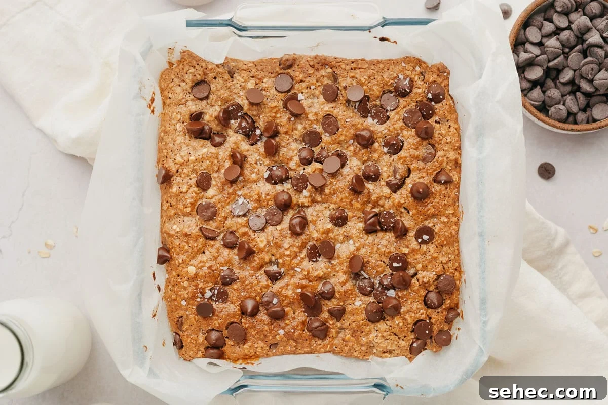 Chewy Chocolate Chip Oatmeal Bars Recipe 5 img 4845 4
