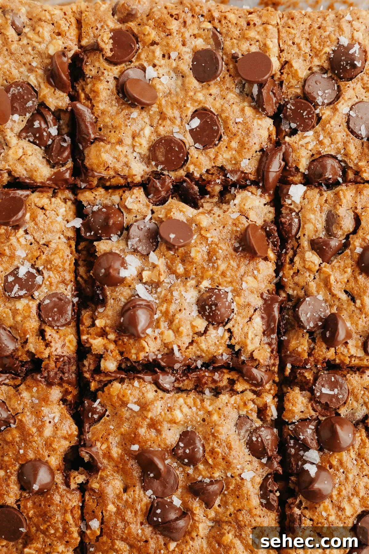 Chewy Chocolate Chip Oatmeal Bars Recipe 6 img 4845 5