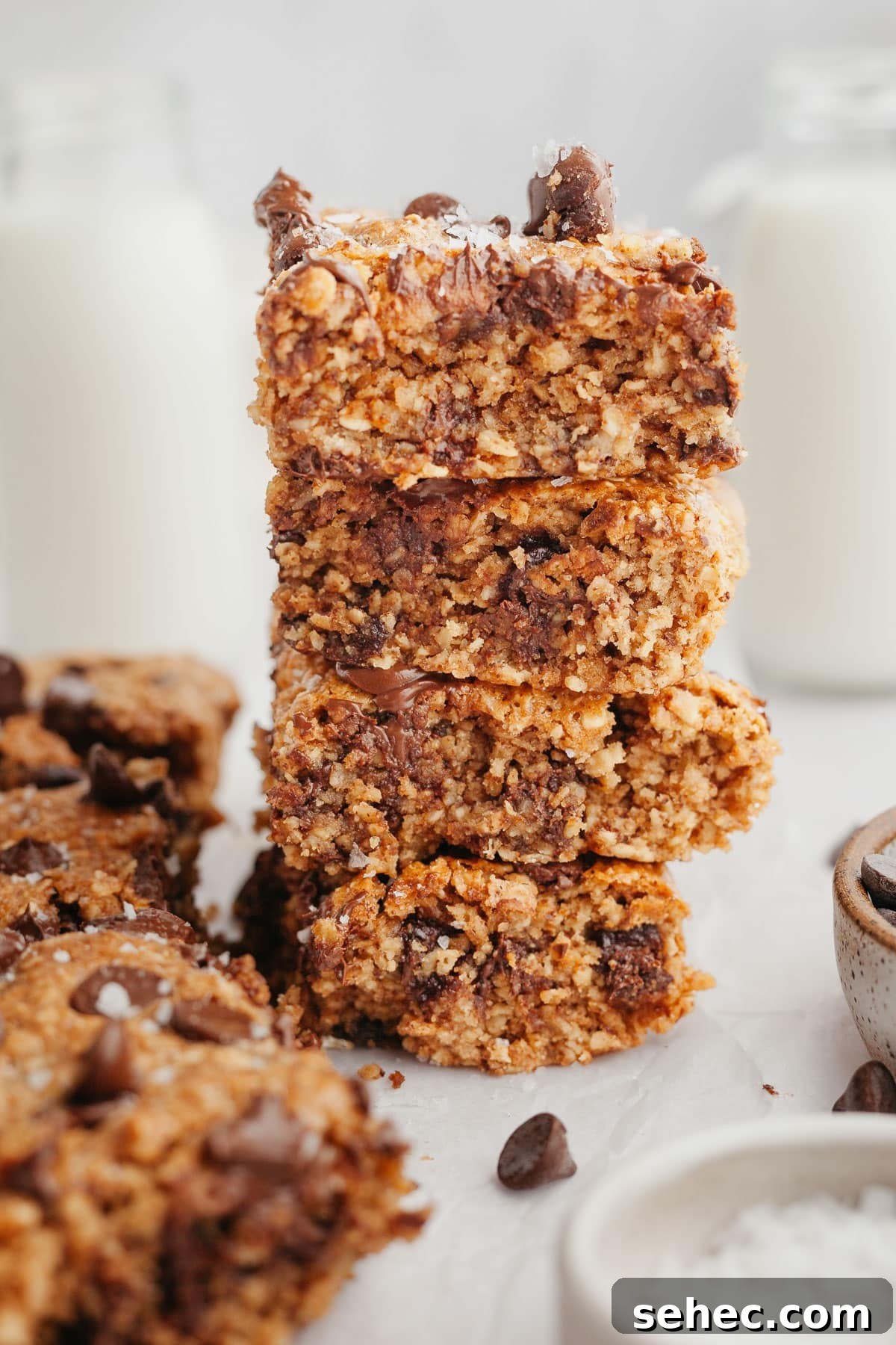 Chewy Chocolate Chip Oatmeal Bars Recipe 7 img 4845 6