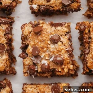 Chewy Chocolate Chip Oatmeal Bars Recipe 8 img 4845 7