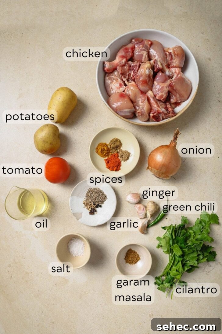 Instant Pot Chicken Curry Recipe 4 Ingredients for Instant Pot Chicken Curry
