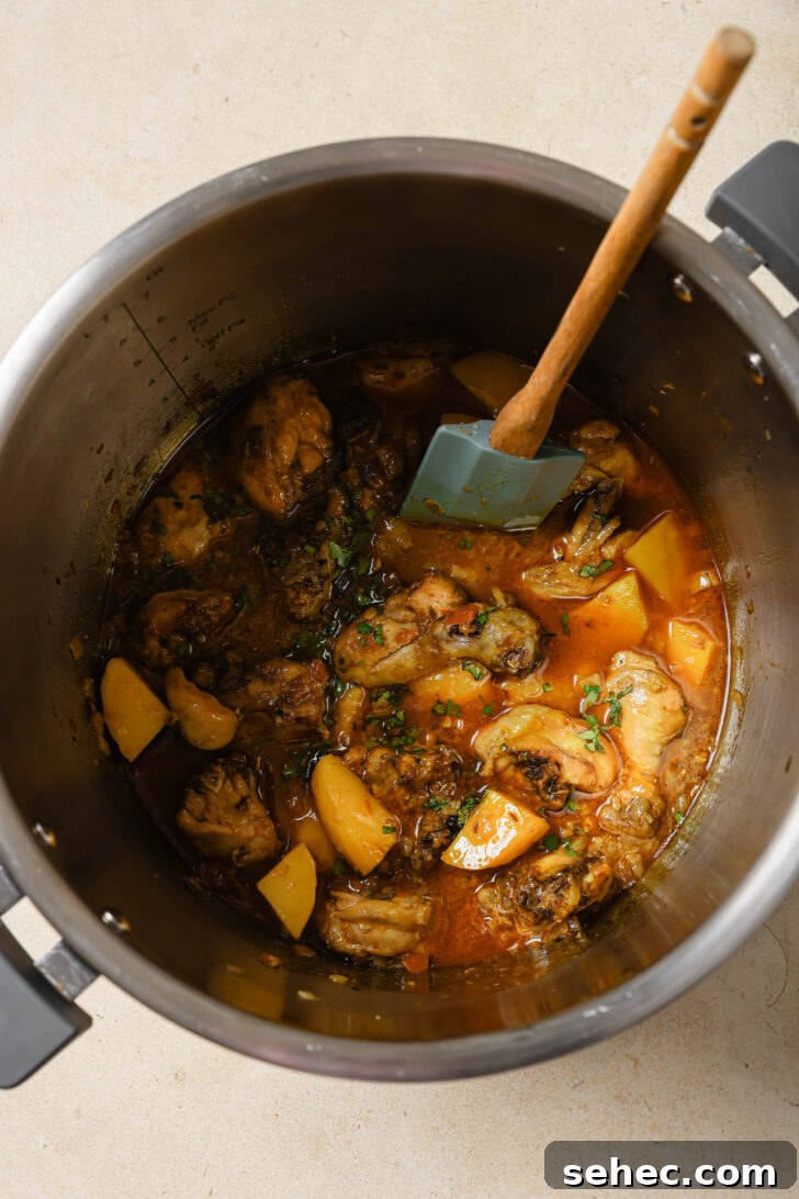Instant Pot Chicken Curry Recipe 8 Pakistani Chicken Curry with Potatoes in an Instant Pot garnished with cilantro and garam masala.