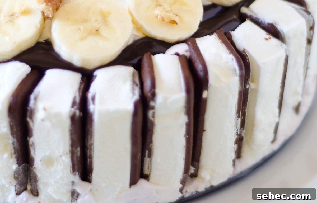 Banana Split Ice Cream Cake with Fudge and Cherries 3 close up of ice cream sandwiches