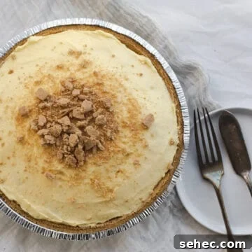 vanilla pudding pie with graham cracker crumbs on top, with a fork and serving utensil