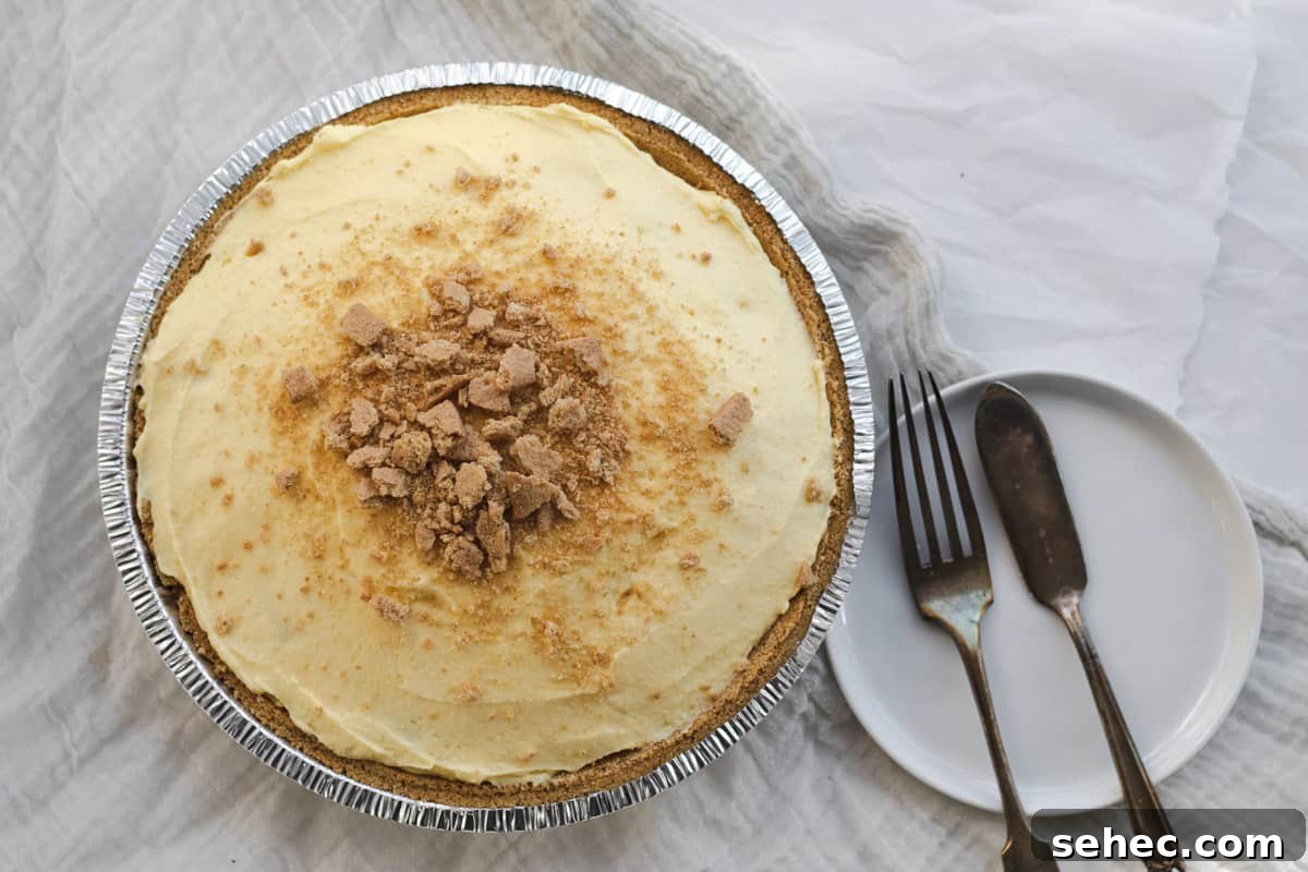 vanilla pudding pie with graham cracker crumbs on top, with a fork and serving utensil