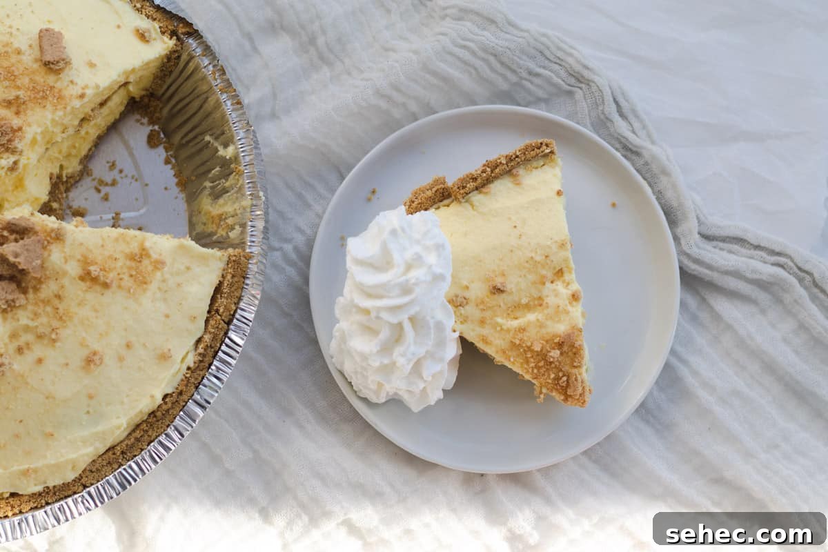 piece of pudding pie on a plate with whip cream