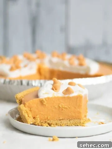 piece of butterscotch pudding pie on a white plate