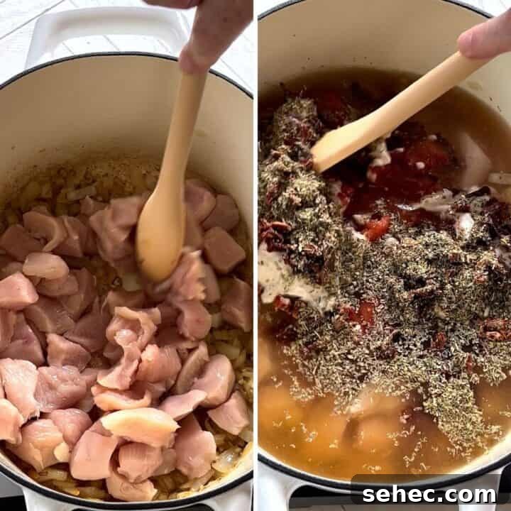 Adding in the chicken and broth and remaining non dairy creamy tomato with chicken soup ingredients.