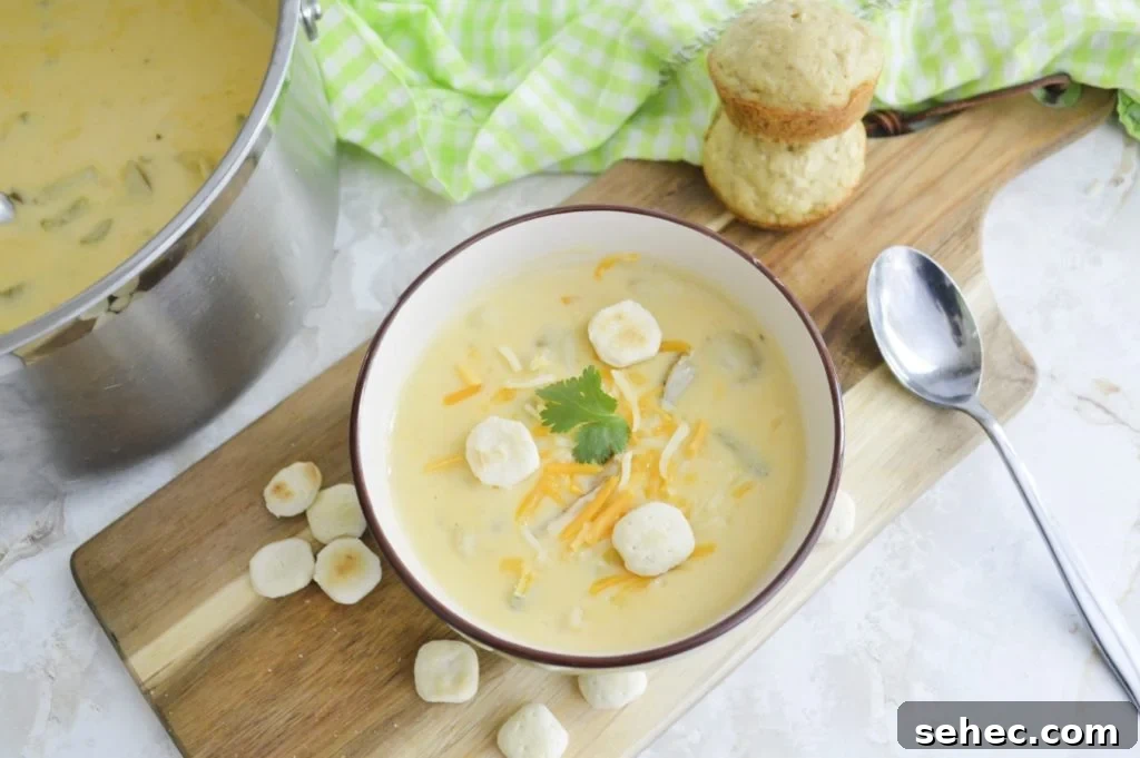 Creamy Cheesy Potato Soup Recipe 2 easy cheesy potato soup from above