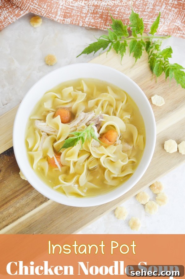 Creamy Cheesy Potato Soup Recipe 12 chicken noodle soup