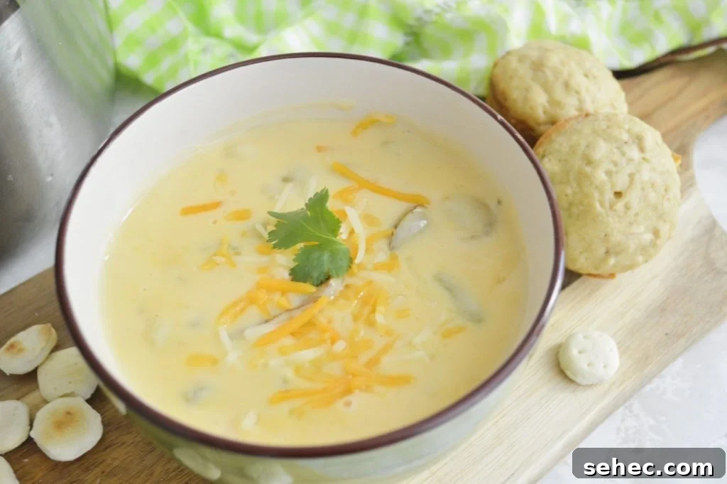 Creamy Cheesy Potato Soup Recipe 3 bowl of easy cheesy potato soup