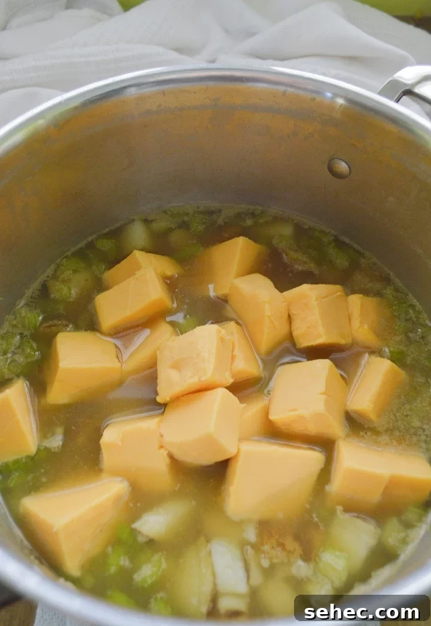 Creamy Cheesy Potato Soup Recipe 6 cubed cheese spread melting into potato soup