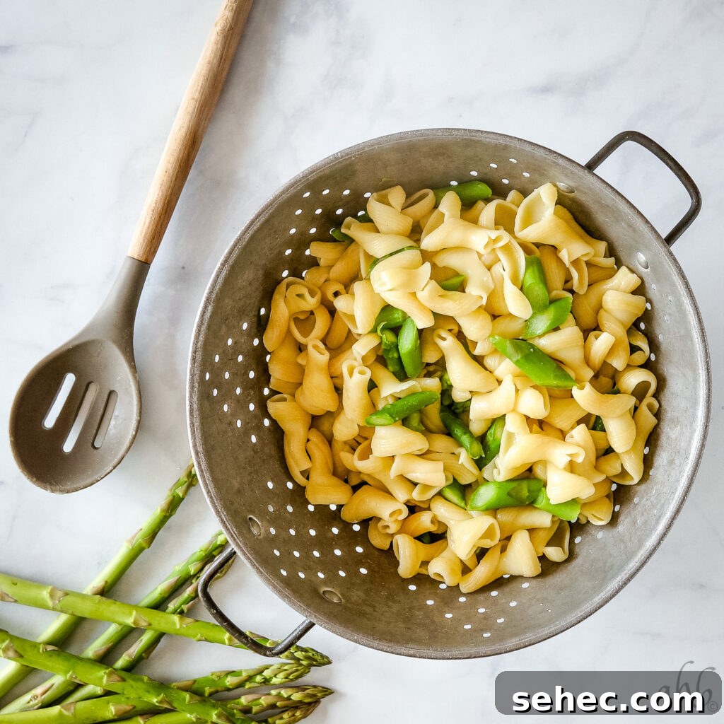Creamy Pesto Pasta Salad with Fresh Basil 3 Bowl of creamy pesto pasta salad with spring vegetables