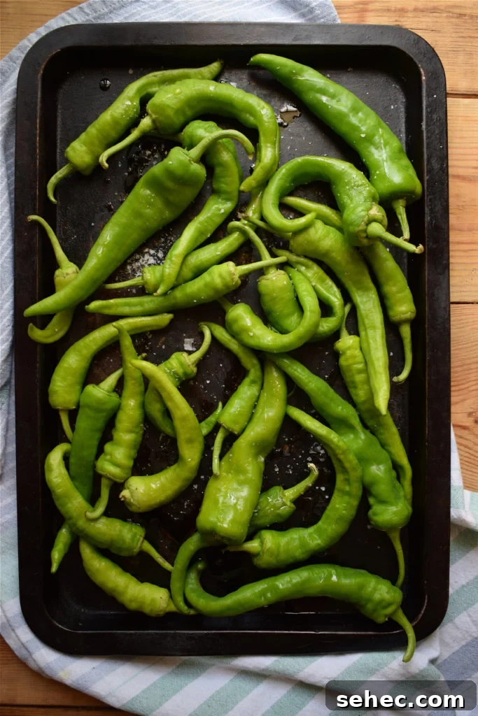 Italian Oven Roasted Green Peppers Recipe 5 green peppers on a baking tray ready to roast