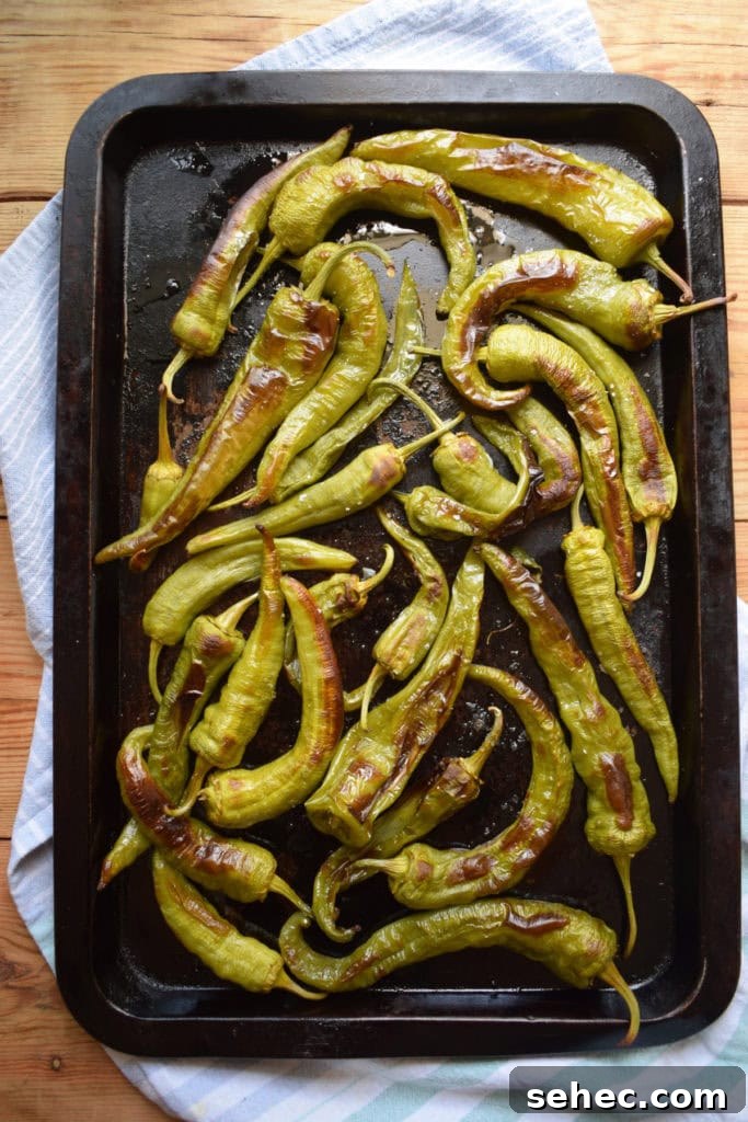 Italian Oven Roasted Green Peppers Recipe 6 oven roasted Italian green peppers on a baking tray
