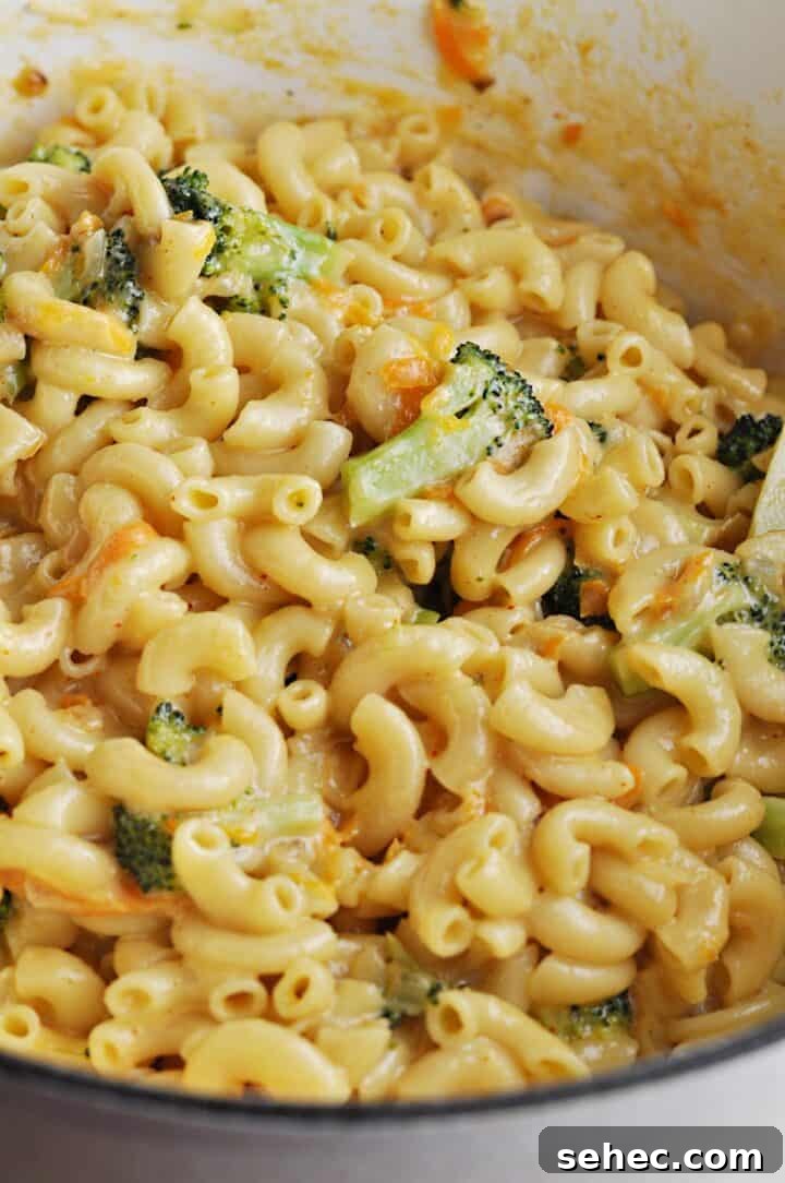 Copycat Panera Broccoli Cheddar Mac and Cheese 3 Making Macaroni and cheese with broccoli