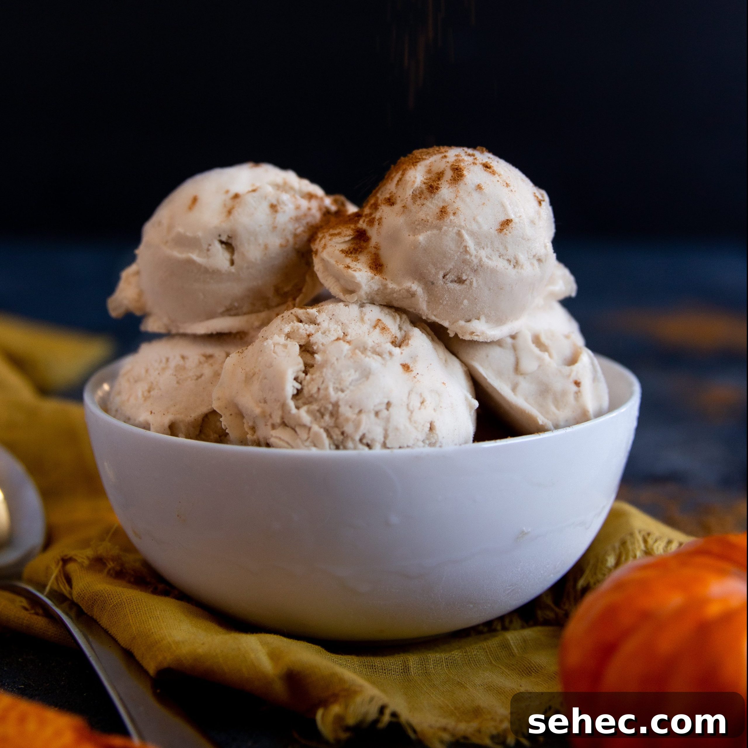 Paleo Pumpkin Spice Ice Cream Recipe 4 Paleo Pumpkin Spice Ice Cream - Gluten-free, dairy-free, tree nut-free, egg-free EASY dessert!
