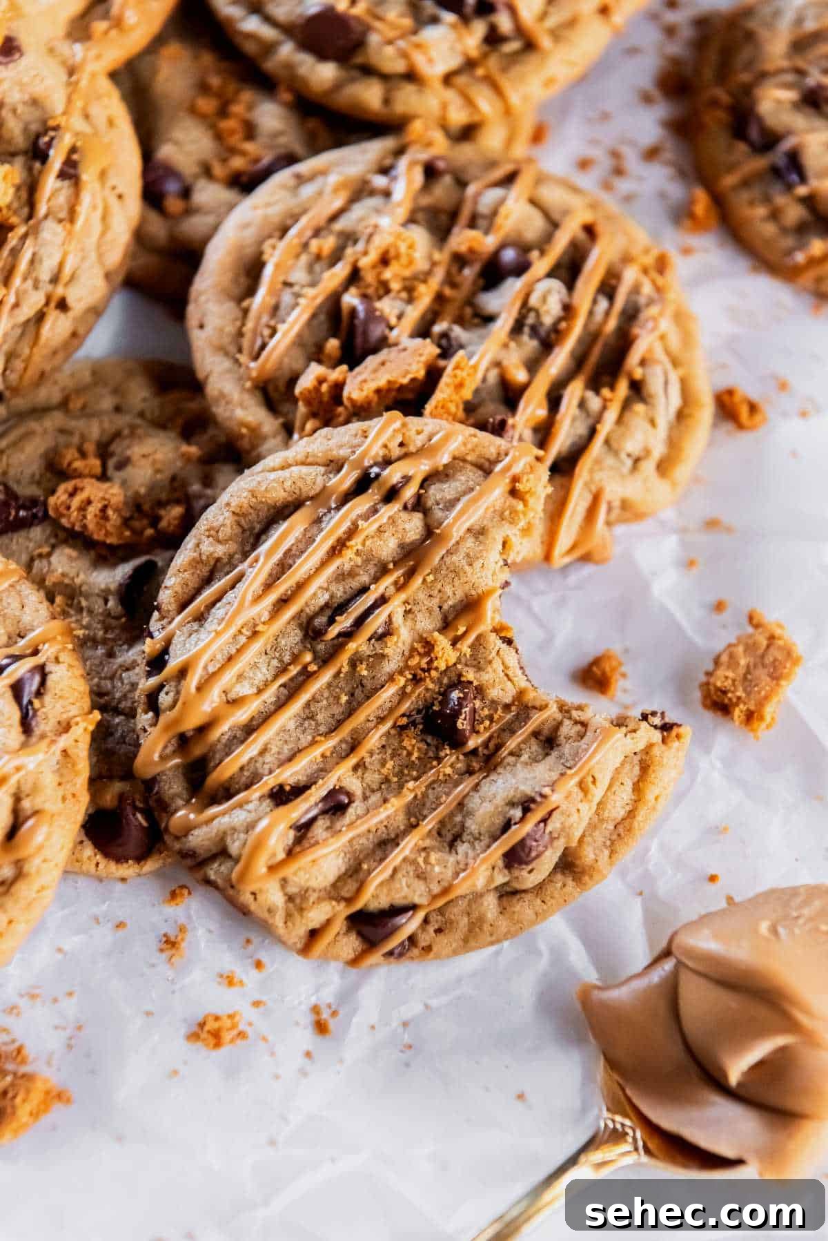 Cookie Butter Chocolate Chip Cookies 2 close up of a chocolate chip Biscoff cookie drizzled with melted cookie butter and cookie crumbs.