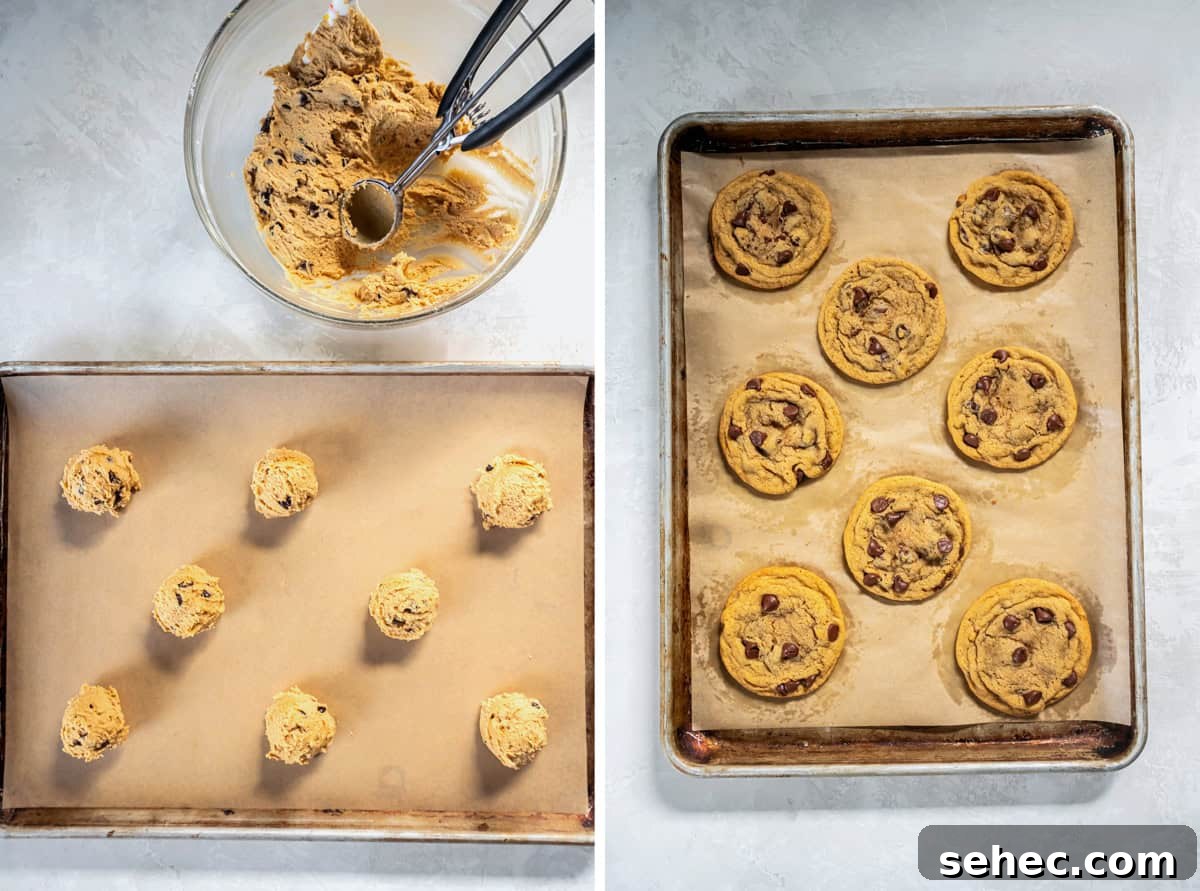 Cookie Butter Chocolate Chip Cookies 7 process photos showing scooped cookie butter cookie dough on a baking sheet and the baked chocolate chip Biscoff cookies after coming out of the oven.