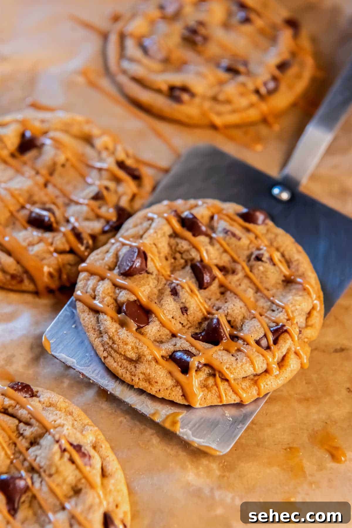 Cookie Butter Chocolate Chip Cookies 8 chocolate chip Biscoff cookie lifted with a spatula and topped with cookie butter drizzle.