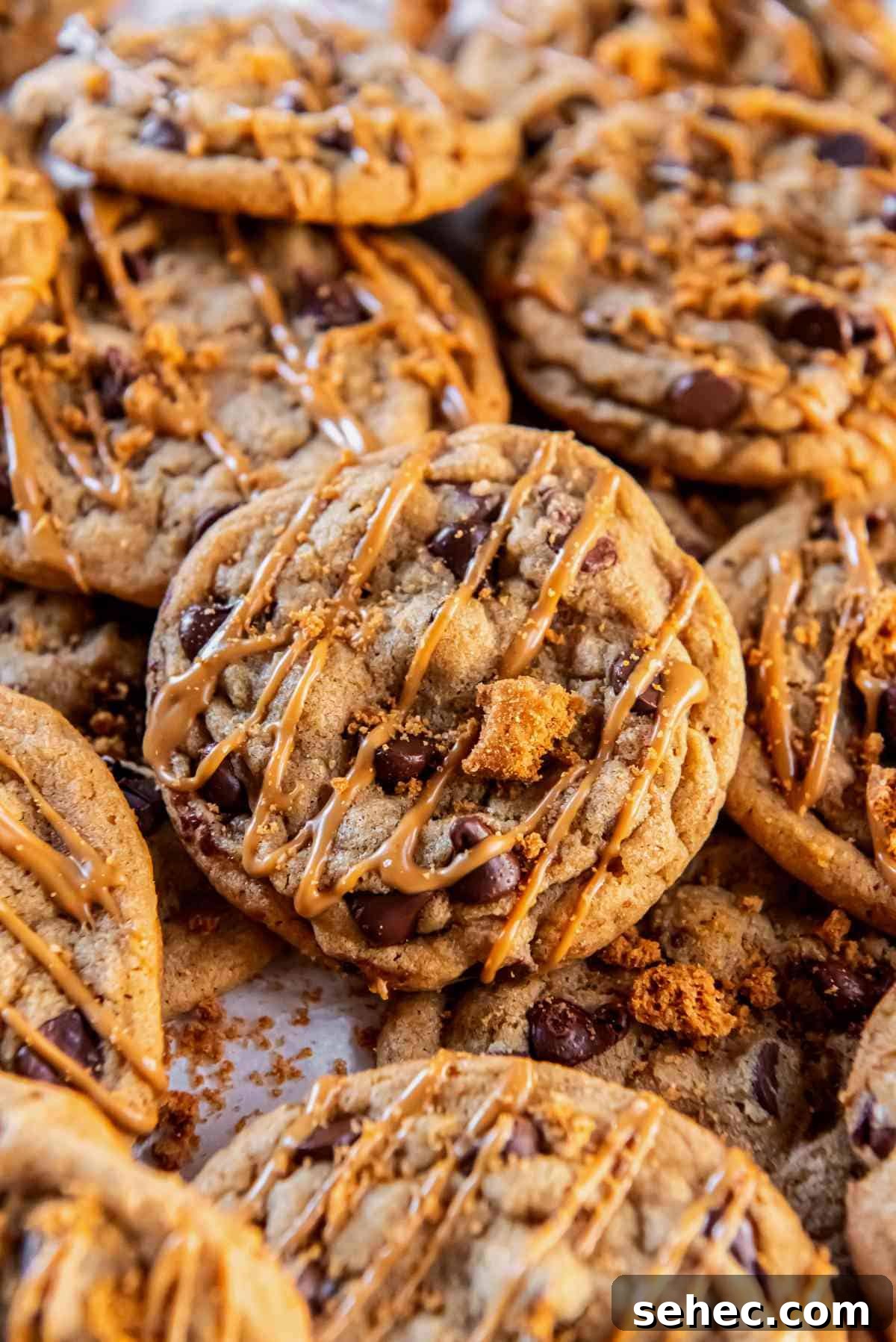 Cookie Butter Chocolate Chip Cookies 9 tray of warm chocolate chip cookie butter cookies cooling on parchment paper.