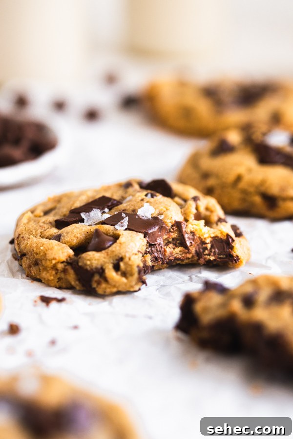Chocolate chip cookies with melted chocolate