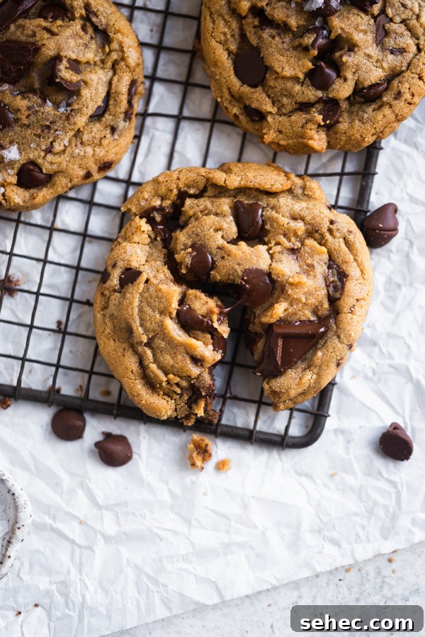 Browned butter chocolate chip cookies