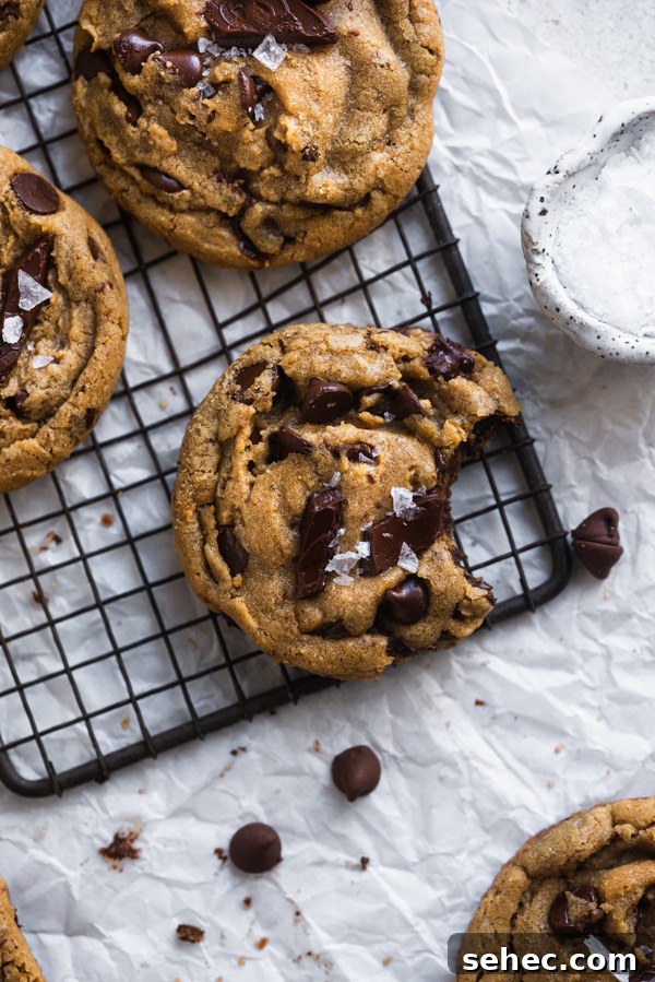 Chocolate chip cookies