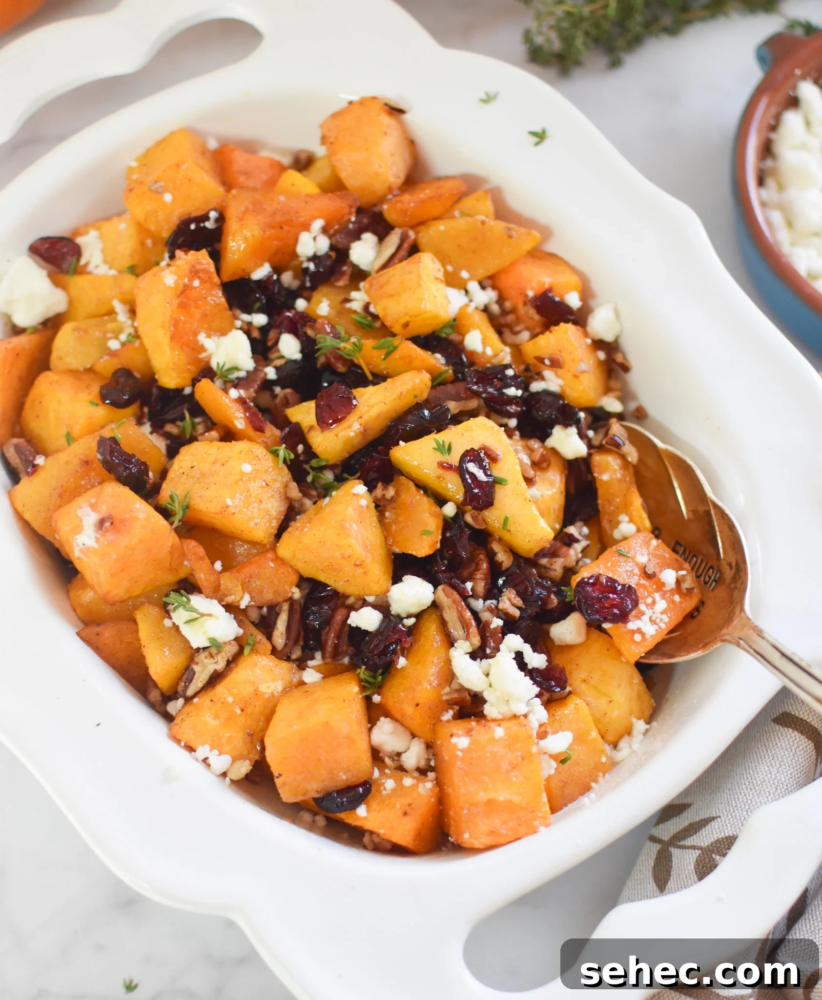 Roasted Butternut Squash with Cranberries Side Dish 2 Roasted Butternut Squash with Cranberries in white bowl