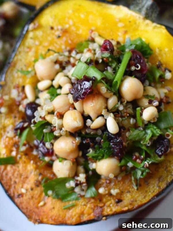 Roasted Butternut Squash with Cranberries Side Dish 14 Mediterranean Stuffed Acorn Squash 1200 x 1200