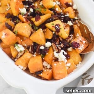 Roasted Butternut Squash with Cranberries Side Dish 15 Roasted Butternut Squash with Cranberries 1200 x 1200