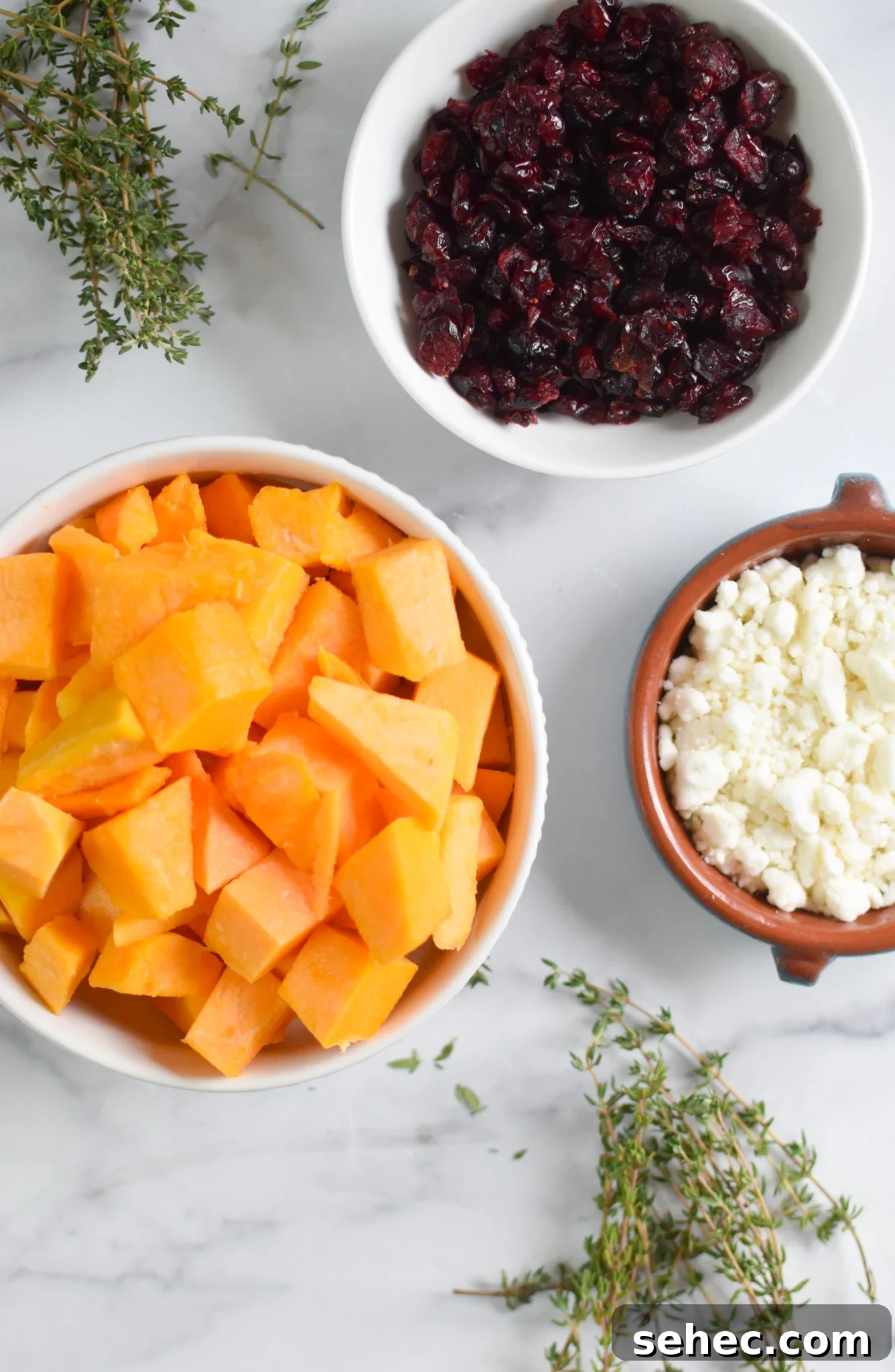 Roasted Butternut Squash with Cranberries Side Dish 6 Roasted Butternut Squash with Cranberries ingredients